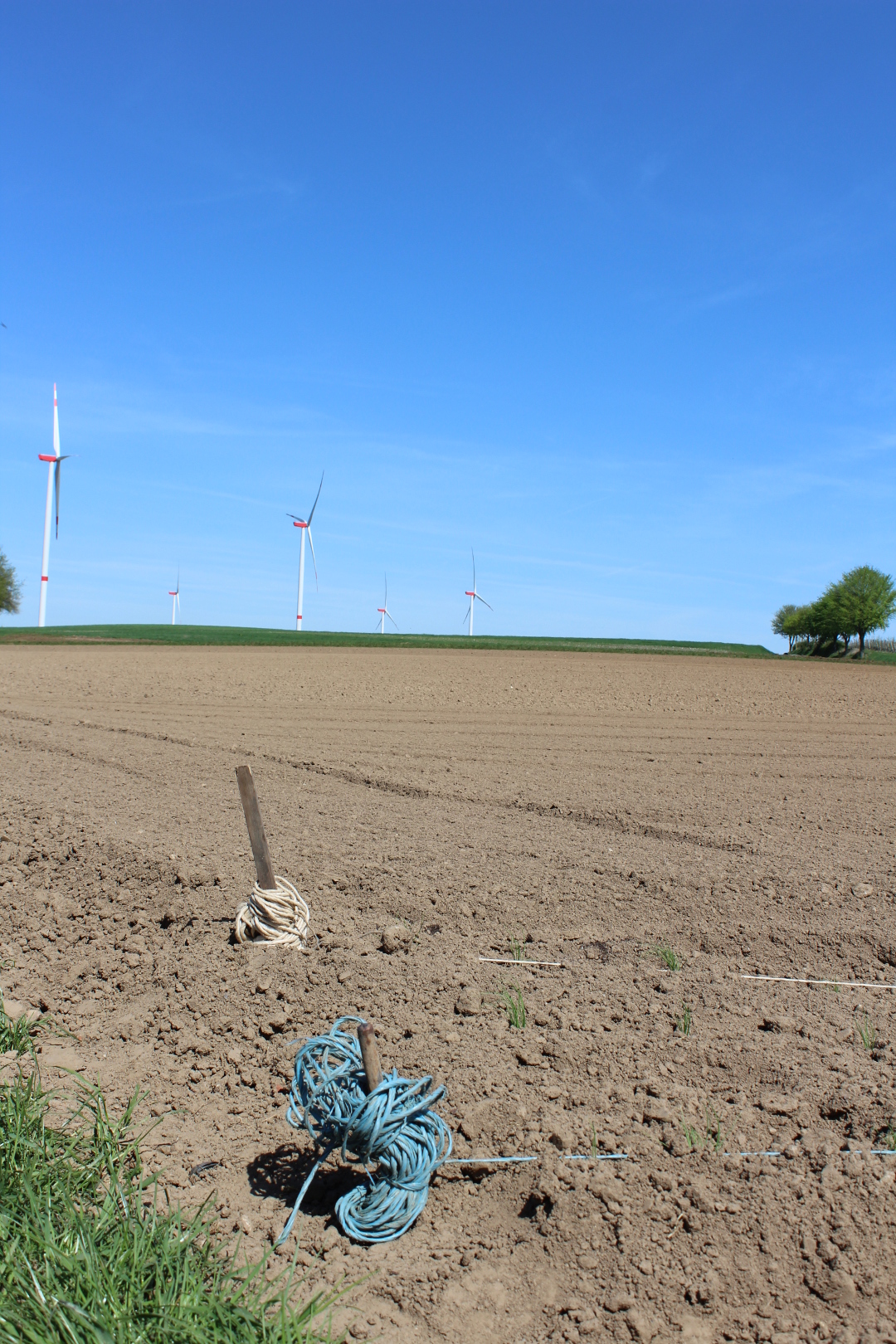 Bild von einem leeren Feld.